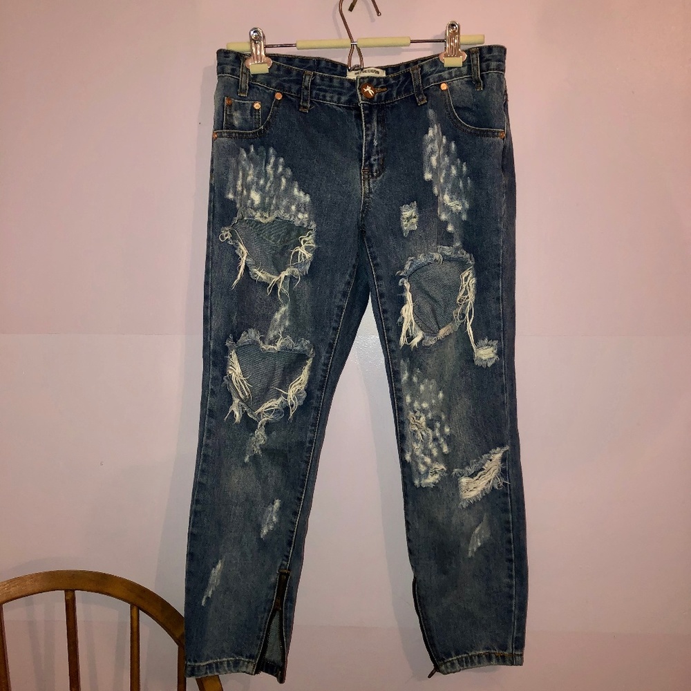 One Teaspoon Freebirds Medium Wash Distressed Jean